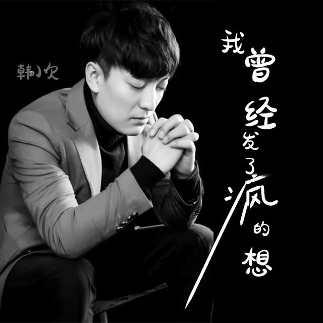 我曾经发了疯的想 - 痛心版