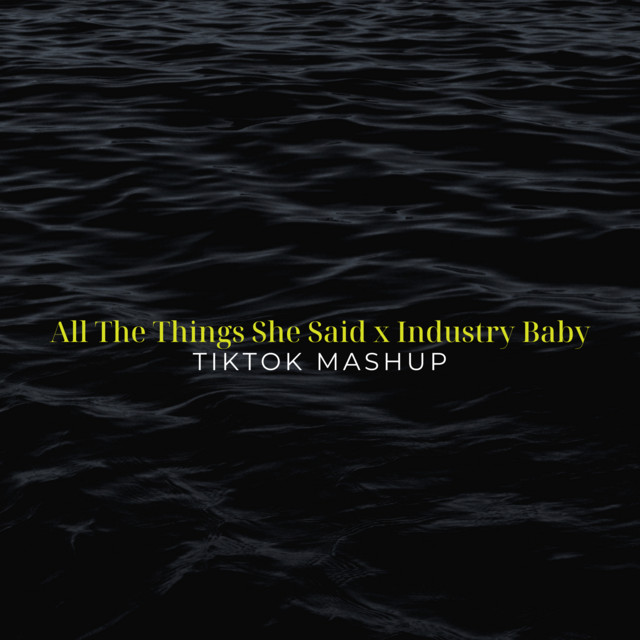 All The Things She Said x Industry Baby (TikTok Mashup) - Remix