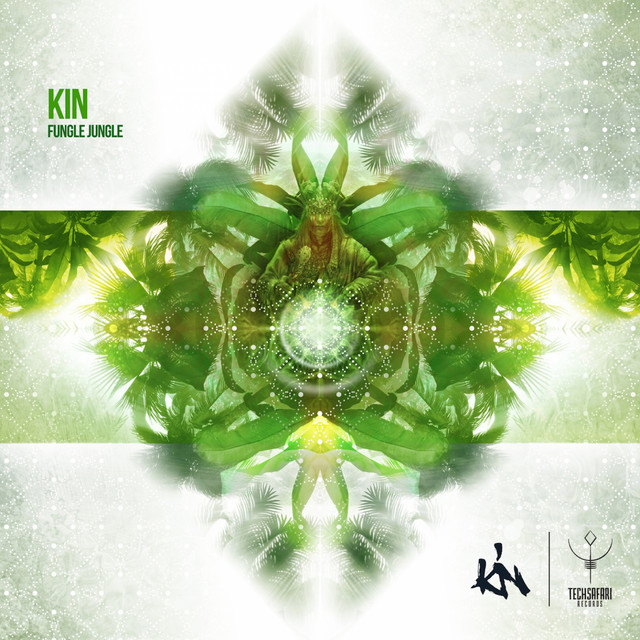 Fungle Jungle cover art