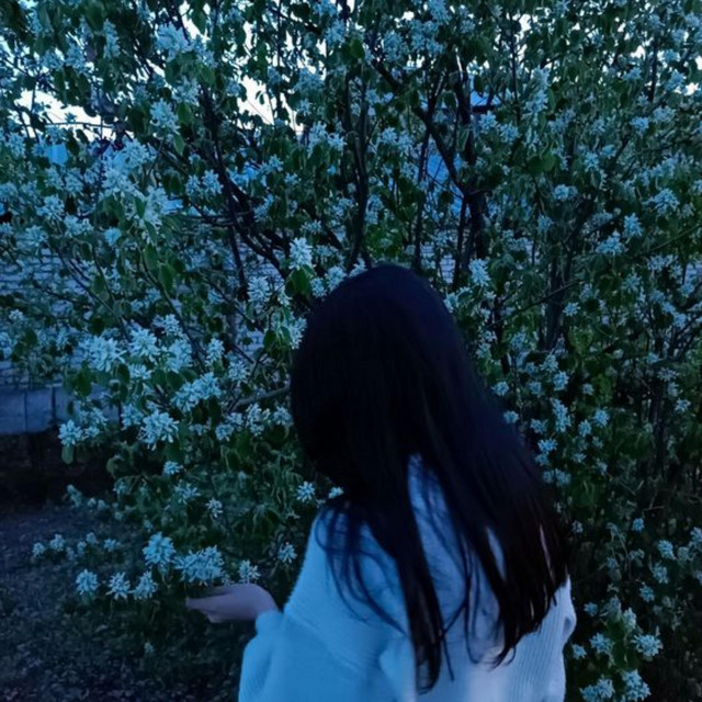 Scene cover art