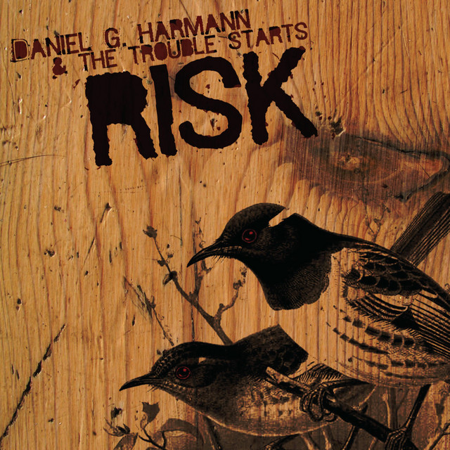 Risk cover art