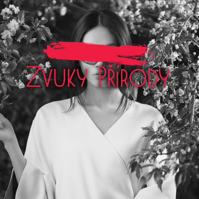 Zvuky Přírody cover art