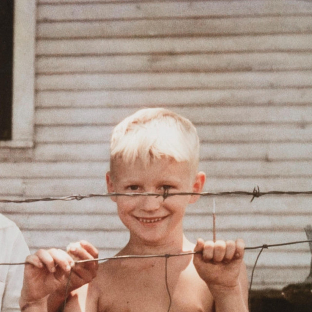 bugs cover art
