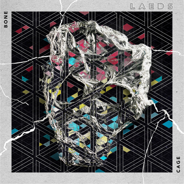 Bone Cage cover art