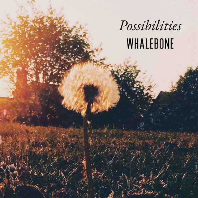 Possibilities cover