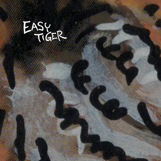 Lost in the Rhythm cover