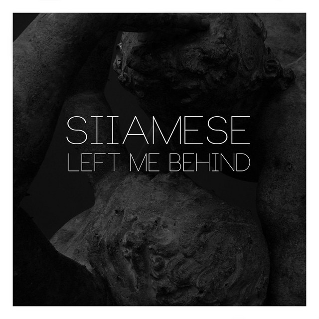 Left Me Behind cover