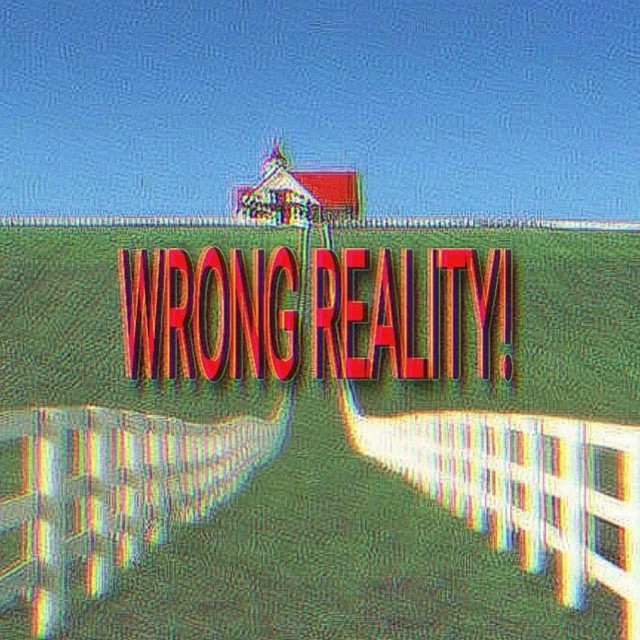 WRONG REALITY! cover art