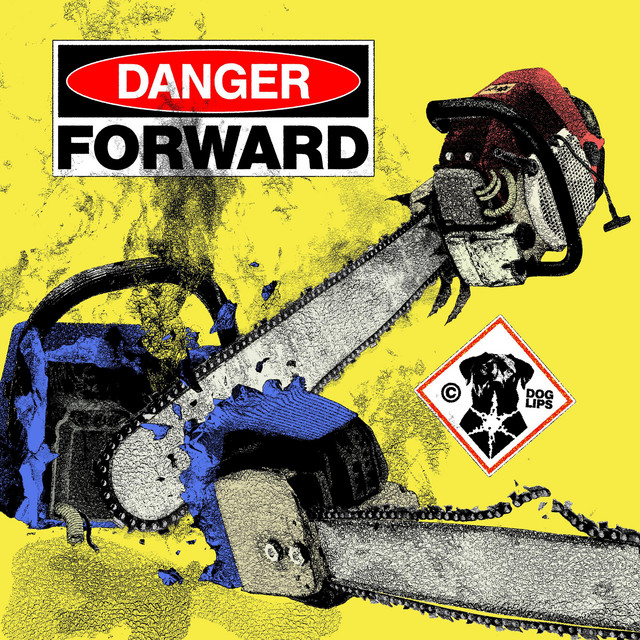 Danger Forward cover