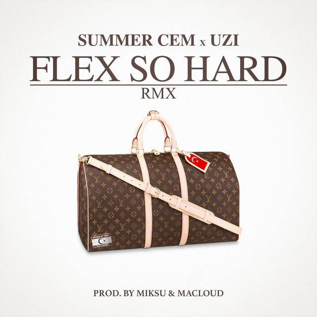 FLEX SO HARD RMX cover art