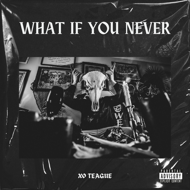 what if you never cover art