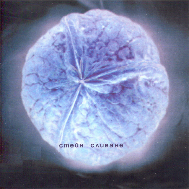 Сливане cover art