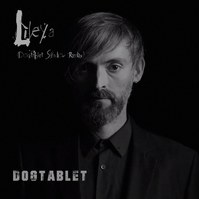Cover art: Lileya - Dogtablet Shadow Remix — Сон Сови
