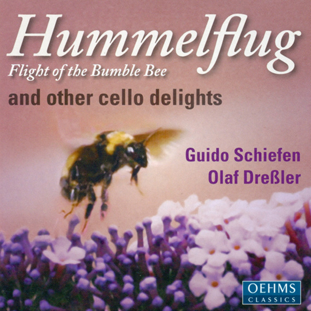 Cello Recital: Schiefen, Guido - Rimsky-Korsakov, N. / Saint-Saens, C. / Frescobaldi, G. / Ravel, M. (Hummelflug and Other Cello Delights) cover