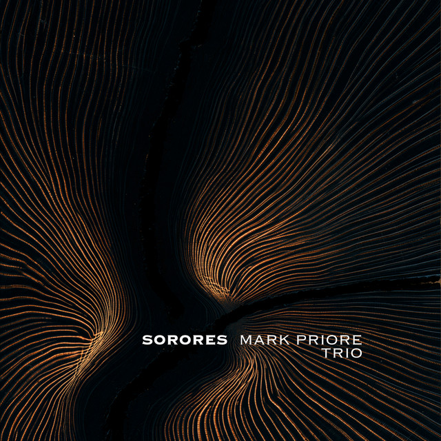Cover du titre Sorores (Acte III)