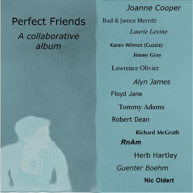 Perfect Friends cover