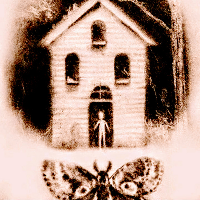 Vocación cover art