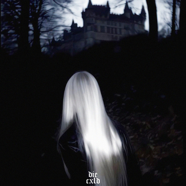 in the dark