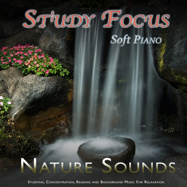 Study Focus: Soft Piano and Nature Sounds For Studying, Concentration ...