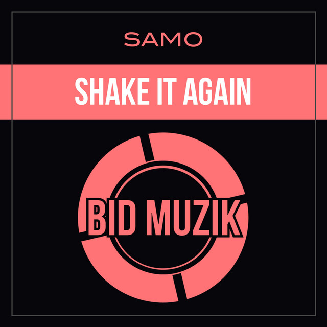 Shake It Again album art