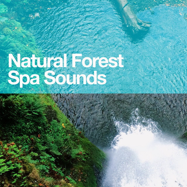 Natural Forest Spa Sounds cover art