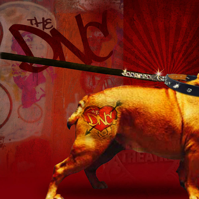 The DNC cover art