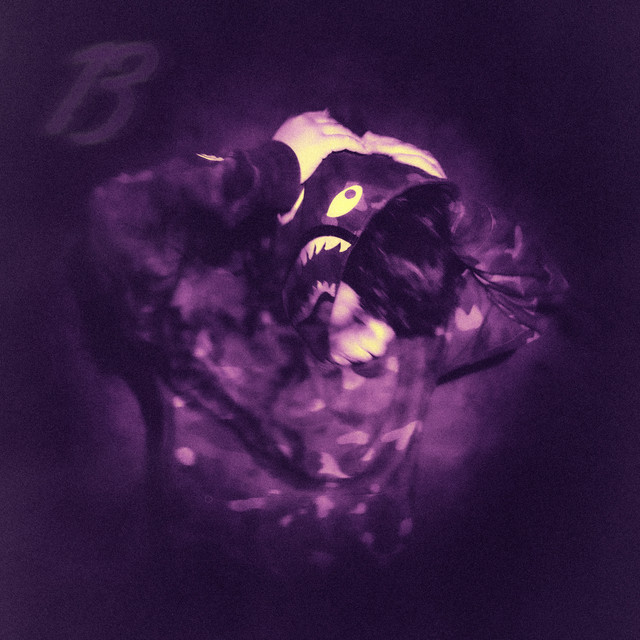 13 cover art
