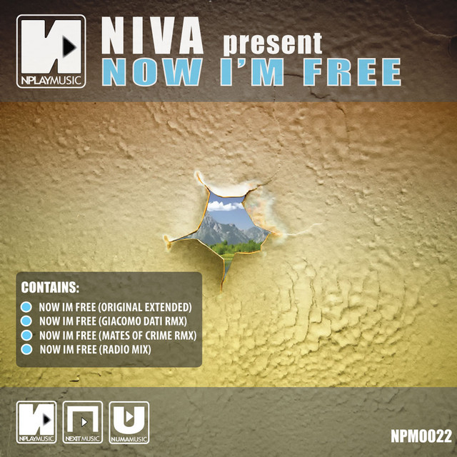 Now Im Free cover art