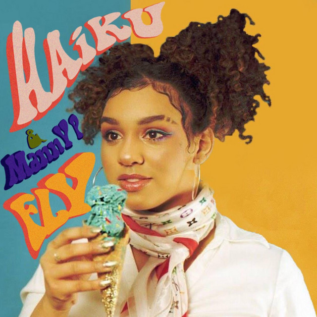 Fly cover art