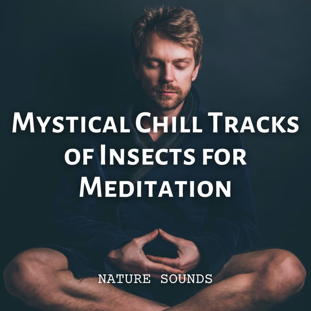 Nature Sounds: Mystical Chill Tracks of Insects for Meditation - Album ...