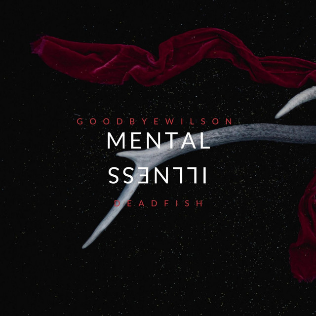 Mental Illness cover art