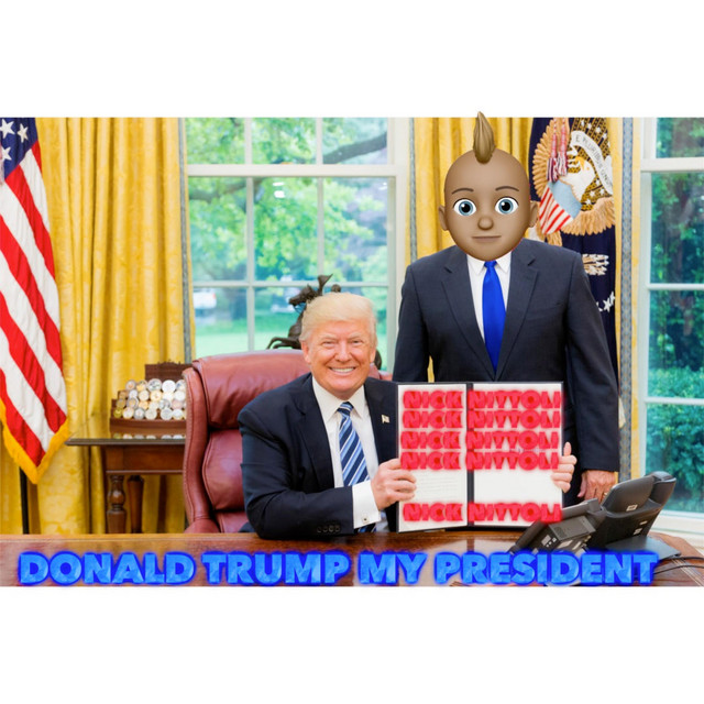 Donald Trump My President