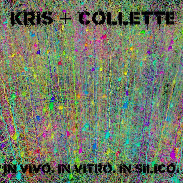 Kris + Collette