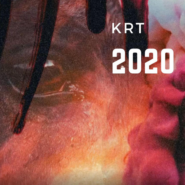 2020 cover art