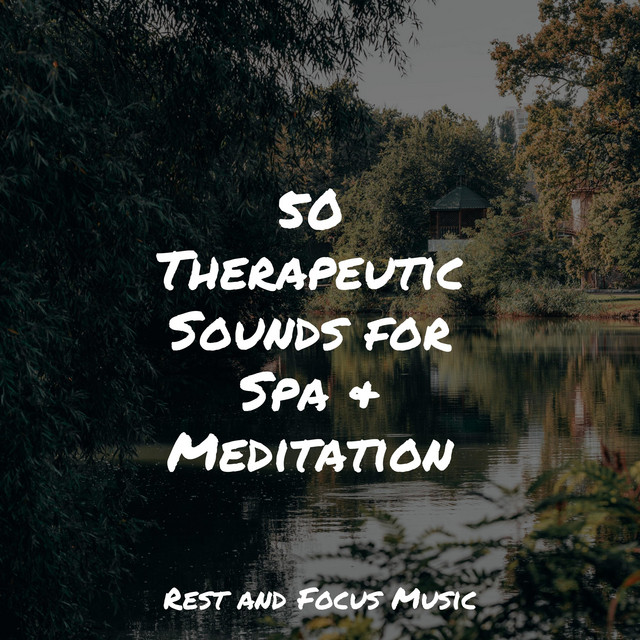 50 Therapeutic Sounds for Spa & Meditation - Album by Children's Music ...