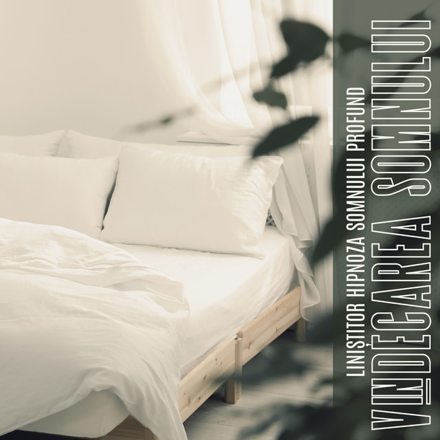 Liniștitor Hipnoza Somnului Profund: Vindecarea Somnului, Vis Continuu, Dormi toată Noaptea, Muzica de Luptă Împotriva Insomniei cover art