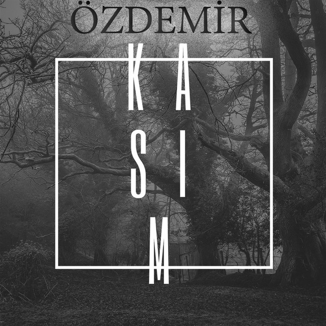 Kasım cover art