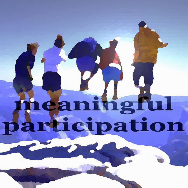 Meaningful Participation cover