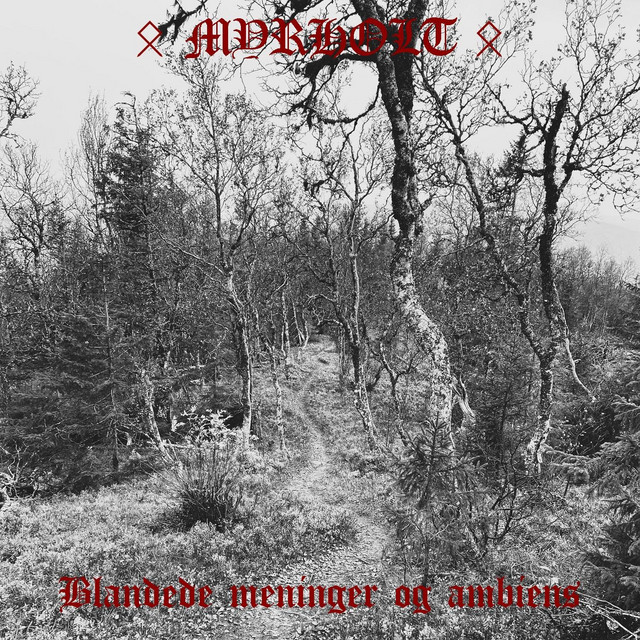 Blandede Meninger Og Ambiens cover
