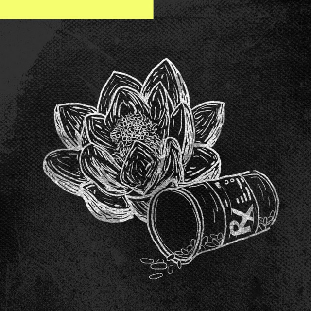 Lotus cover