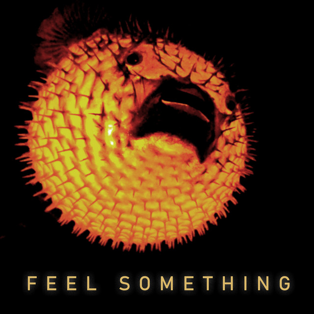 Feel Something cover