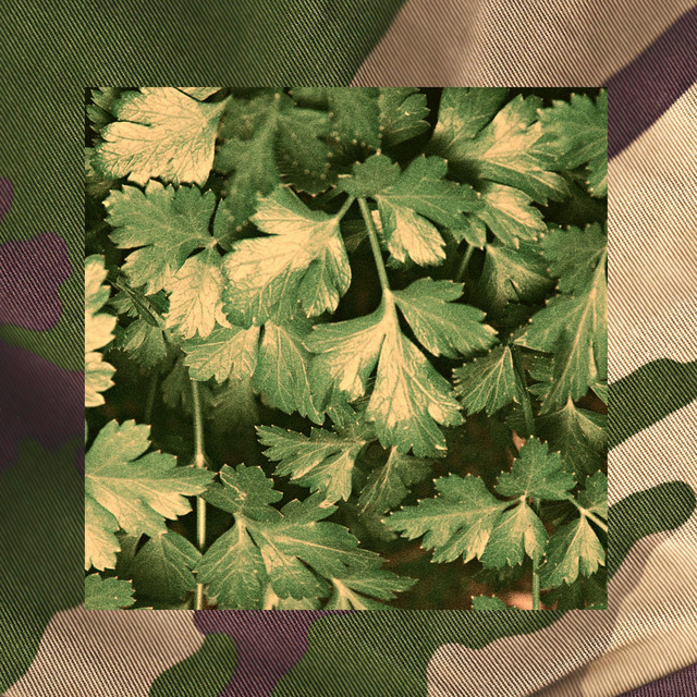 Bagnetto verde