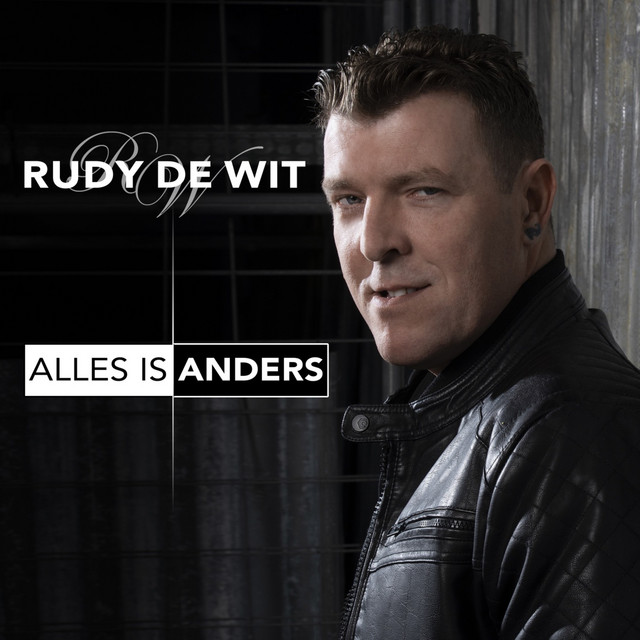 Cover of Alles Is Anders by Rudy de Wit