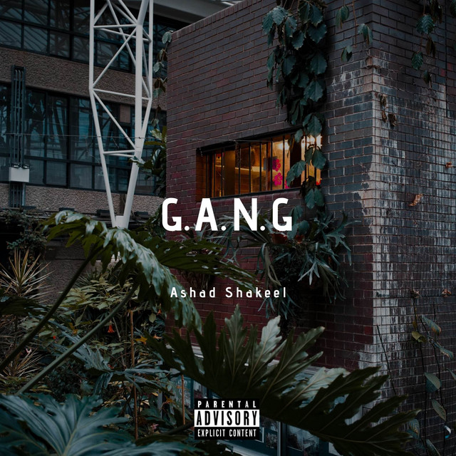 G.A.N.G cover art