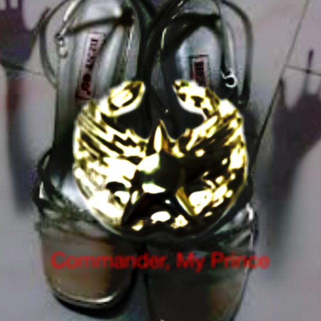 Commander, My Prince