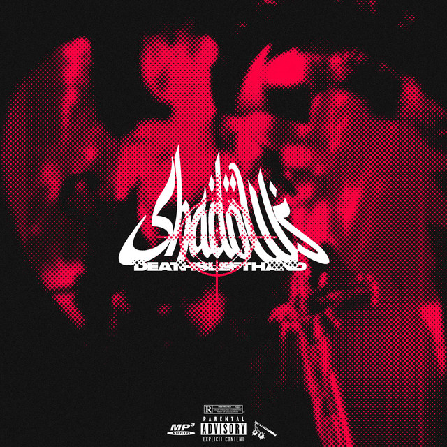 SYSTEM cover art