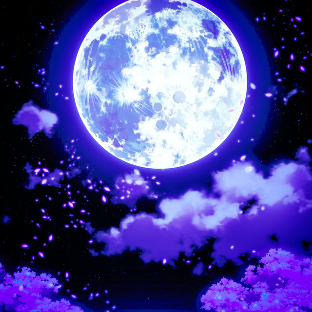 higher cover art