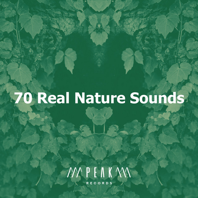 70 Real Nature Sounds - Album by Sleep Sounds of Nature | Spotify