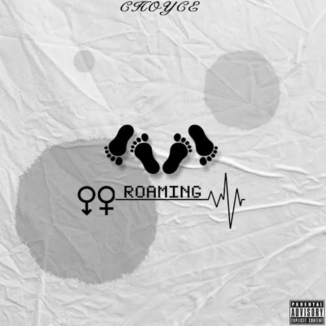 Roaming- Choyce Cincere