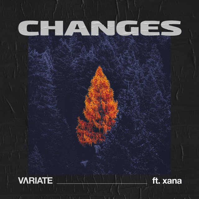 Changes cover art